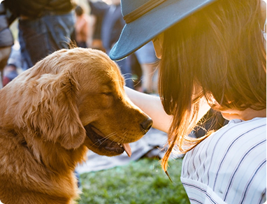 Pet Relocation